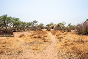 Exploring the Hadza