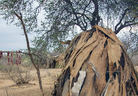 Exploring the Hadza