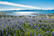 Iceland nature photography