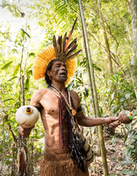 Papua wildlife