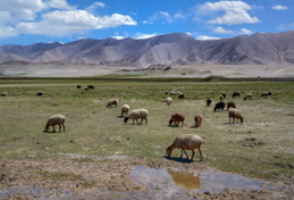 Pamir Plateau Exploring The Roof of the World