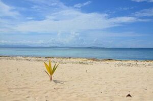 Fiji Nature Beach